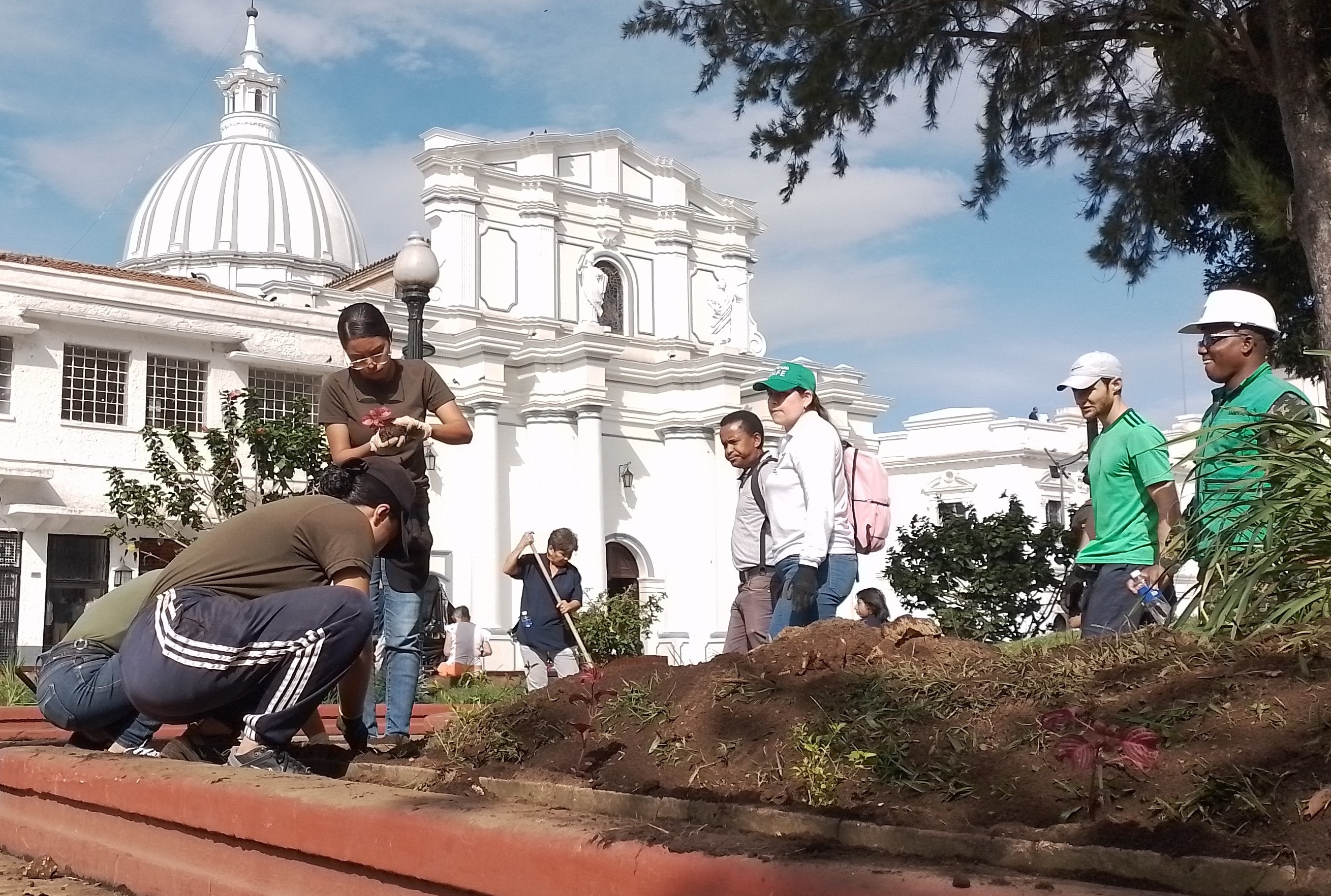Administración Municipal lideró ‘sembratón’ en el Parque Caldas